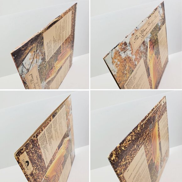 Allman Brothers Band Vinyl Record Brothers Sisters LP CPN 0111 Keel Pressing NM+ - Picture 5 of 10